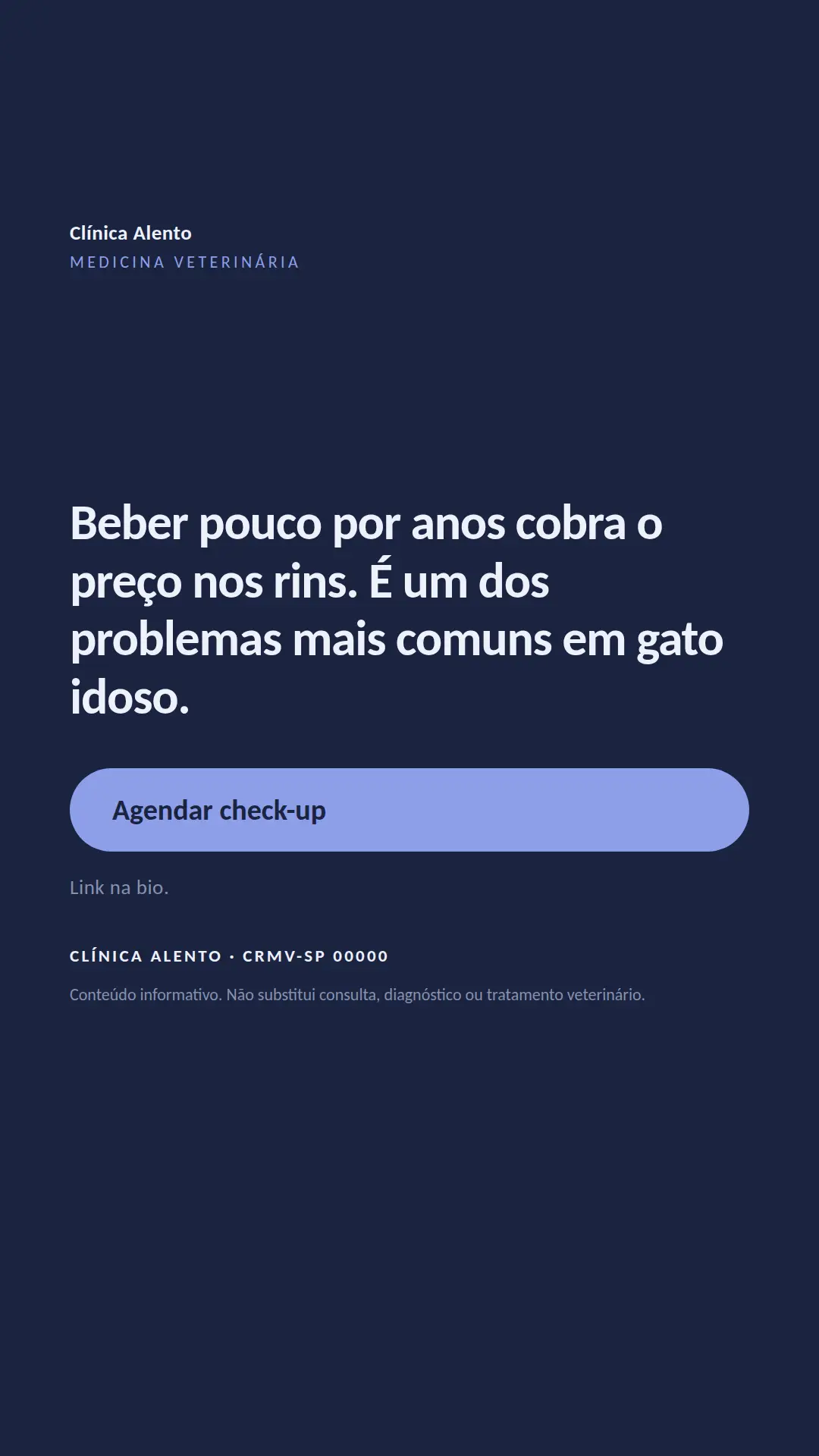 Exemplo de story para Veterinária — tela 3 de 3