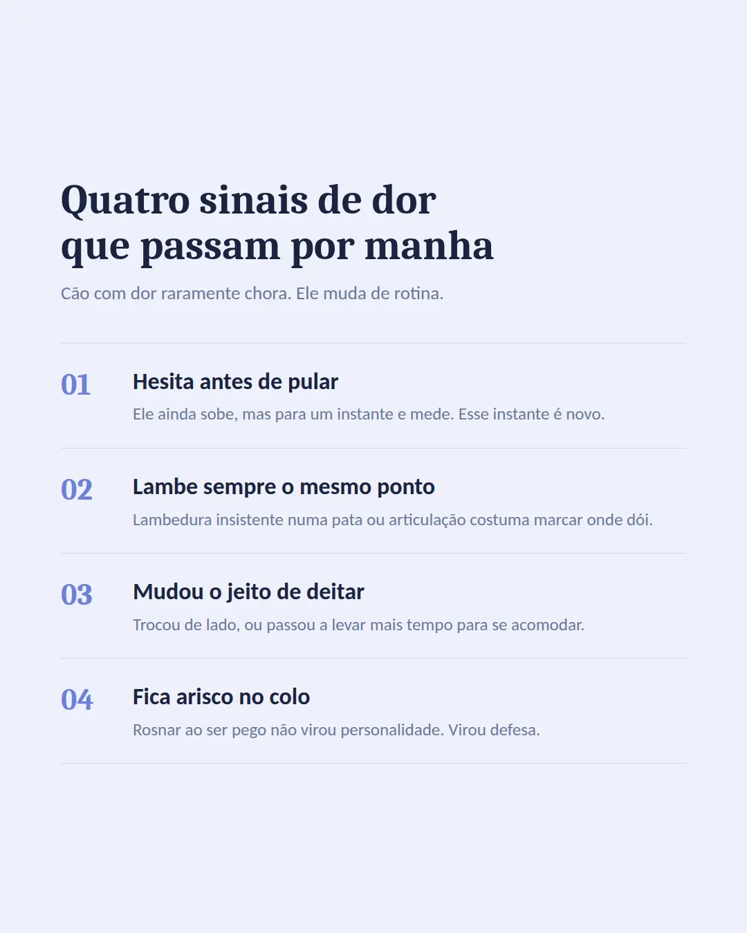 Exemplo de carrossel para Veterinária — tela 2 de 3